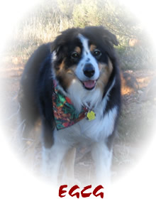 Jasper