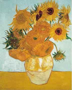 Sunflower Sunflower